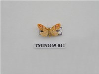 藏品(梯紋豔苔蛾)的圖片